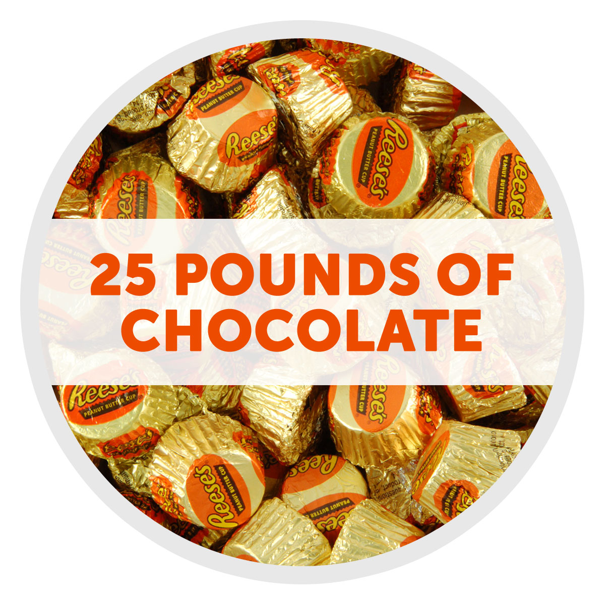 REESE'S Milk Chocolate Peanut Butter Cup Miniatures Bulk 25 lbs Candy Box $149.99